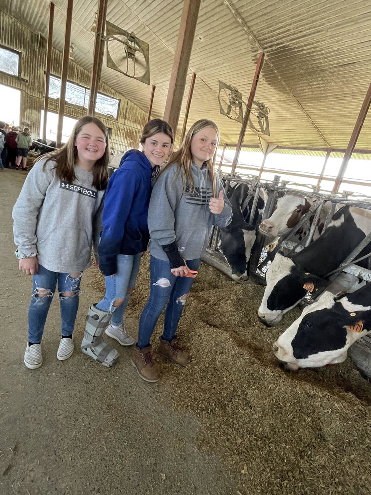 Three 7th graders in the cattle barn at SUNY Cobleskill